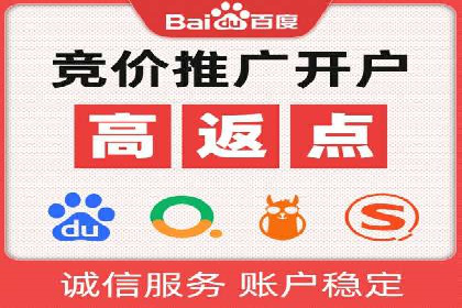 高效百度推广案例解析及优化策略